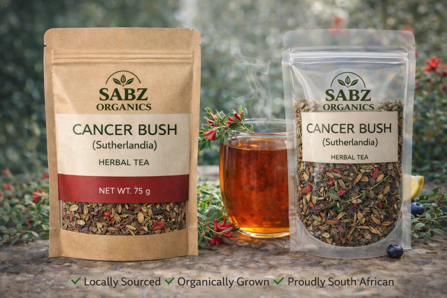 Cancer Bush (Sutherlandia) — 75g